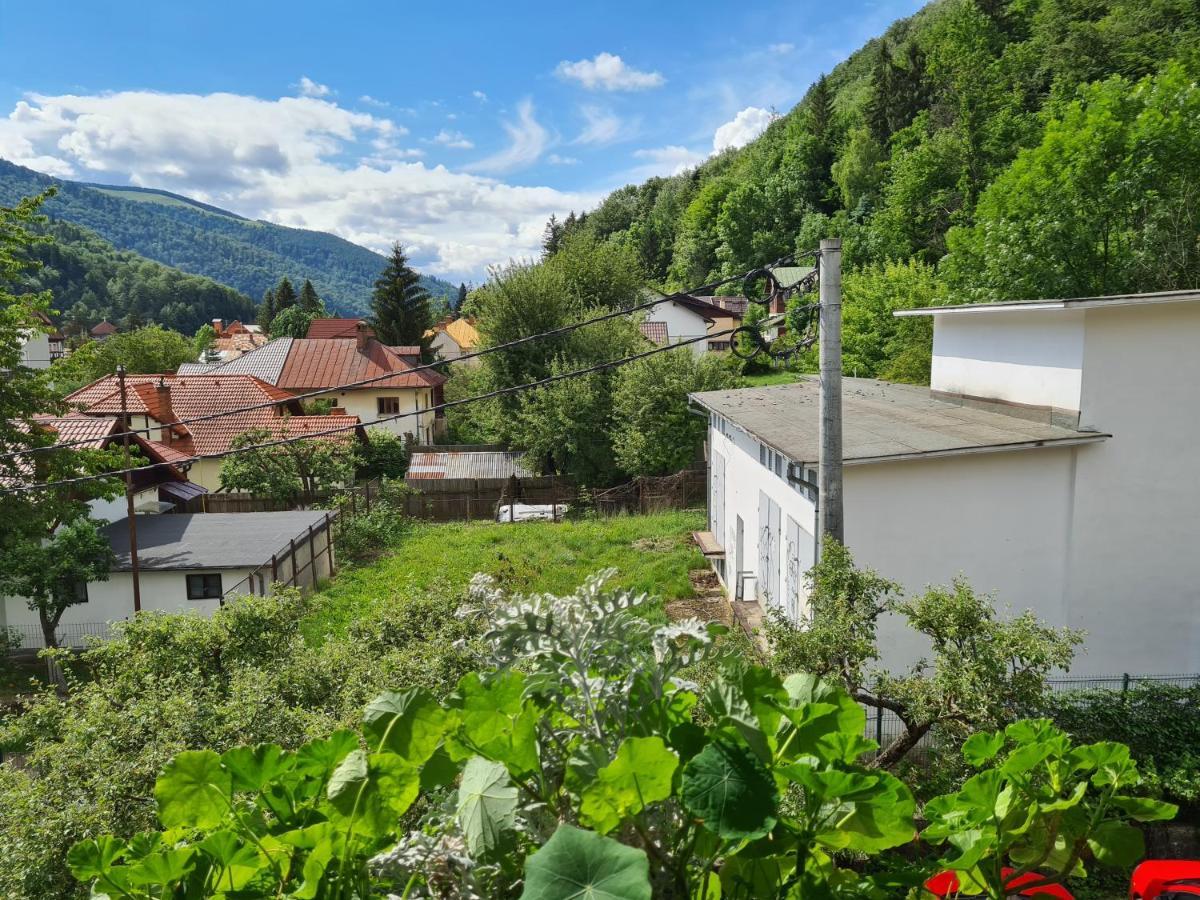 Pension Marina Sinaia Exterior photo