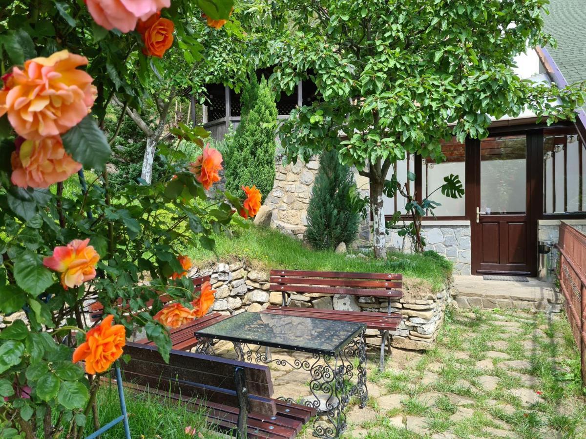 Pension Marina Sinaia Exterior photo